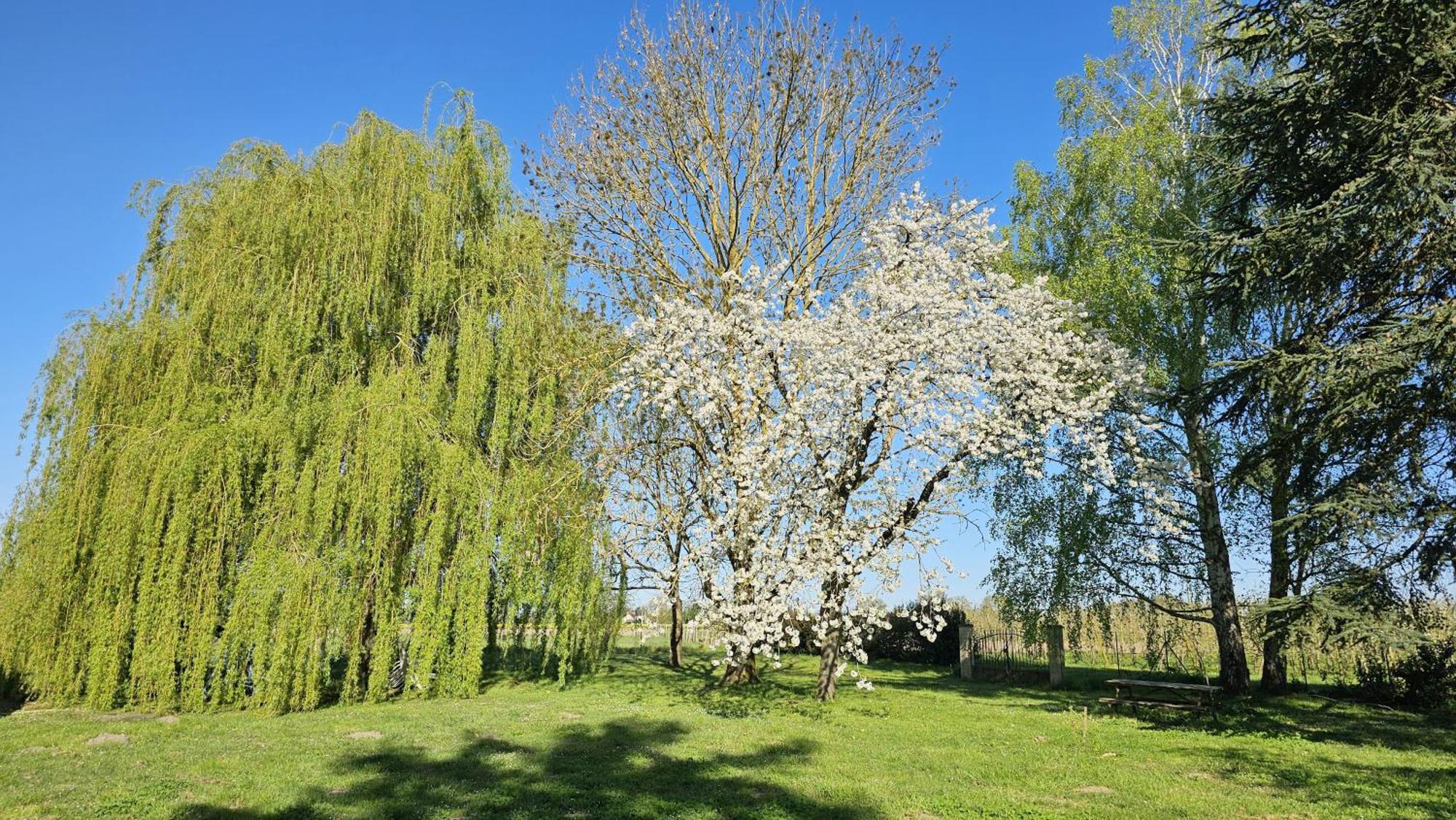 Apartamento Domaine Des Moizons, Le Figuier Villebernier Exterior foto